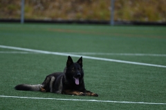 DSC_1089