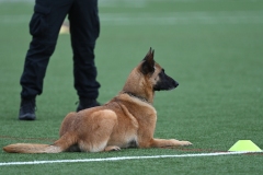 DSC_1113