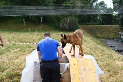 DSC_1397