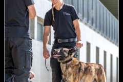 EtabDet-Fribourg-1