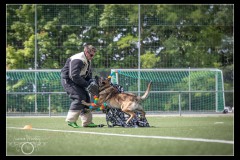 EtabDet-Fribourg-2