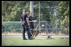 EtabDet-Fribourg-4