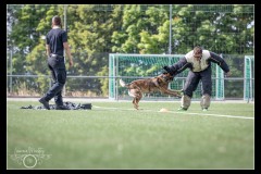 EtabDet-Fribourg-5