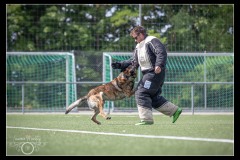 EtabDet-Fribourg-6