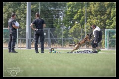 EtabDet-Fribourg-7
