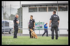 GDM-GE-Malinois-1