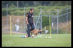 GDM-GE-Malinois-2