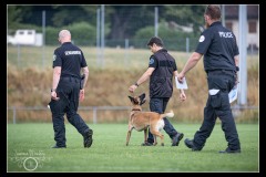 GDM-GE-Malinois-3