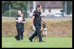 GDM-GE-Malinois-4