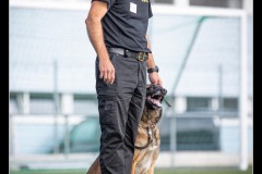 GPA-Malinois-1
