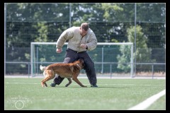 GPA-Malinois-14