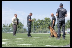 GPA-Malinois-17