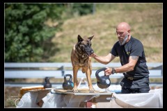 GPA-Malinois-20