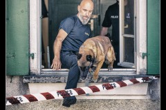 GPA-Malinois-23