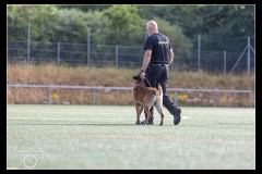 GPA-Malinois-3
