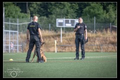 GPA-Malinois-4