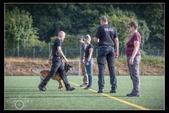 GPA-Malinois-5