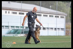 GPA-Malinois-8