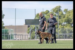 GPA-Malinois-9