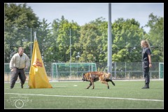 GPA-Tervueren-14