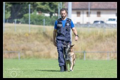 GardeFrontiere-MalinoisA-1