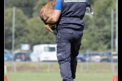GardeFrontiere-MalinoisA-4