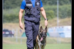GardeFrontiere-MalinoisA-5