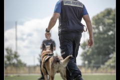 GardeFrontiere-MalinoisB-1