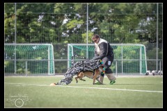 GardeFrontiere-MalinoisB-2