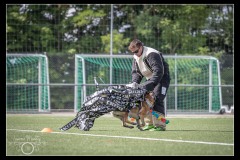 GardeFrontiere-MalinoisB-3