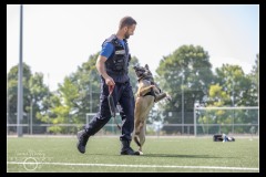 GardeFrontiere-MalinoisB-5