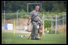 Militaire-Malinois-1