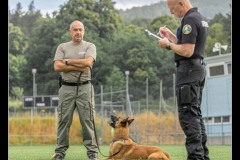 Militaire-Malinois-4