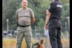 Militaire-Malinois-6