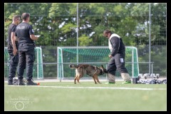 Police-Fribourg-BA-1