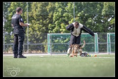 Police-Fribourg-BA-10