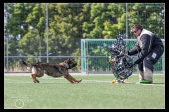 Police-Fribourg-BA-2