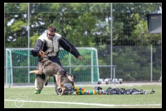 Police-Fribourg-BA-4