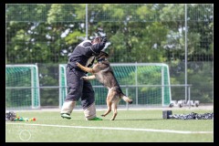 Police-Fribourg-BA-6