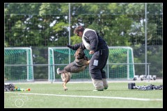 Police-Fribourg-BA-7