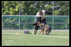 Police-Fribourg-BA-8