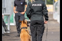Police-Jura-Malinois-1