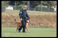 Police-Jura-Malinois-3