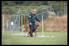 Police-Jura-Malinois-4