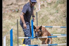 Protectas-Malinois-A-4