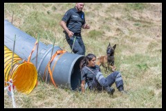 Protectas-Malinois-B-1