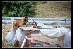Protectas-Malinois-B-5