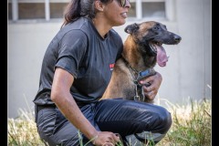 Protectas-Malinois-B-8