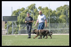 Securitas-BA-A-2