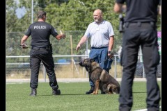 Securitas-BA-A-3